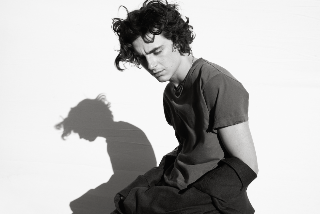 Timothée Chalamet