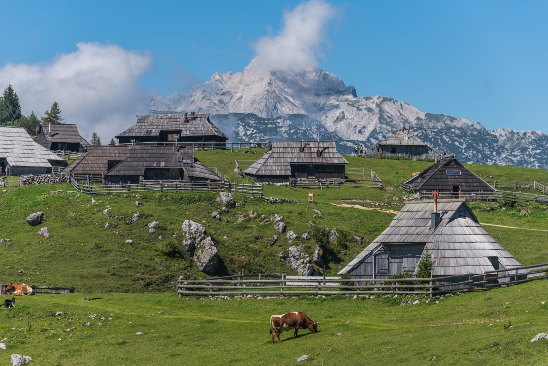 Pastirsko selo, Velika planina_iStock