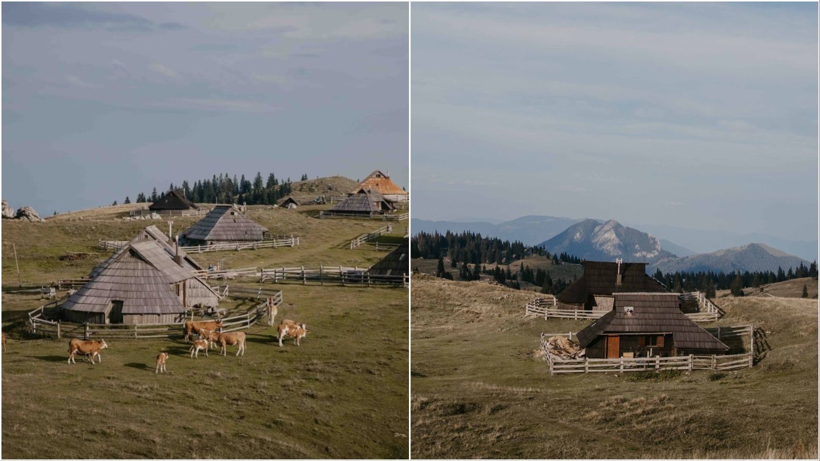 INSTA(NT) TRAVEL: Pastirsko naselje i zadivljujuć pogled s Velike Planine koji ostavljaju bez daha