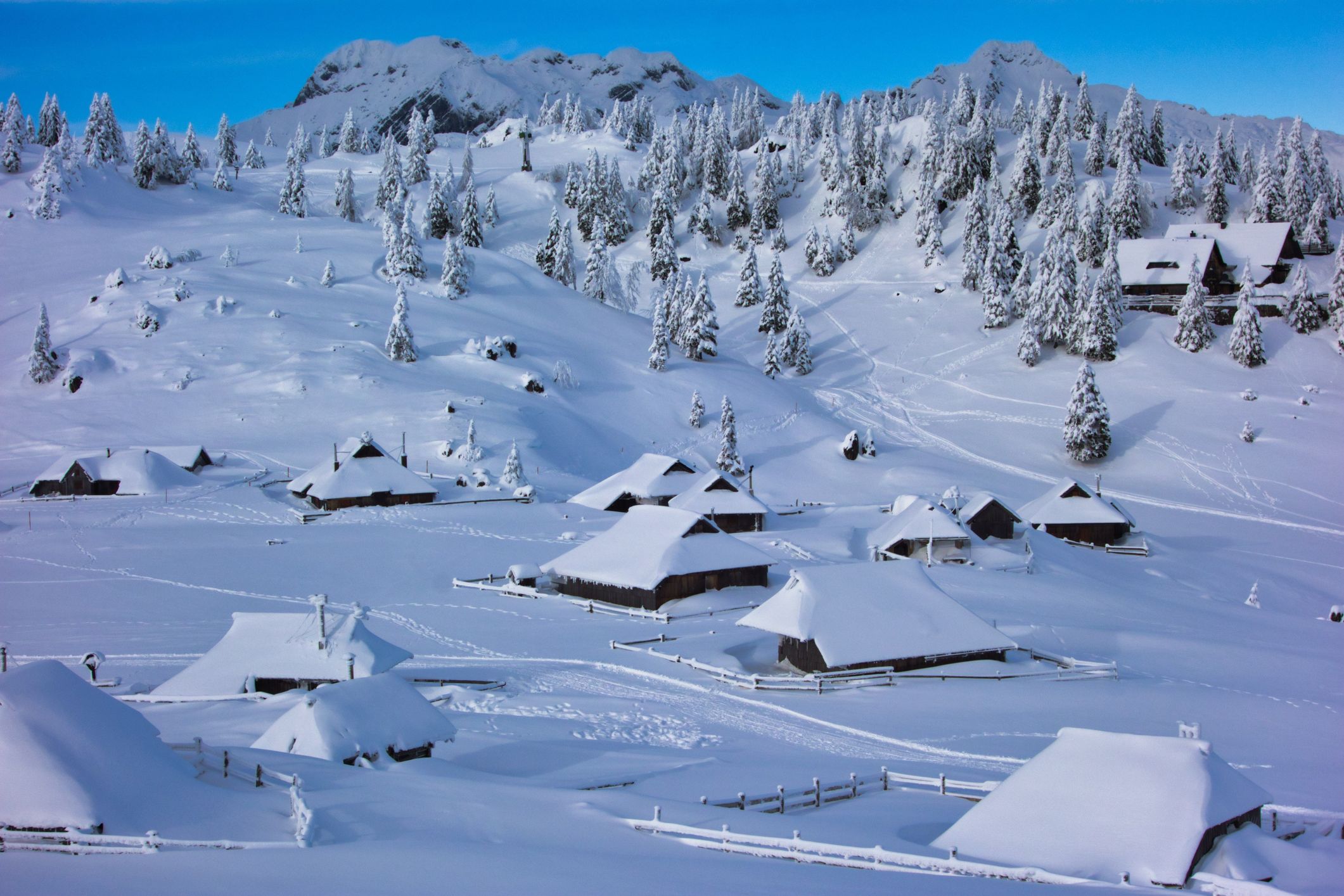 Velika planina_iStock