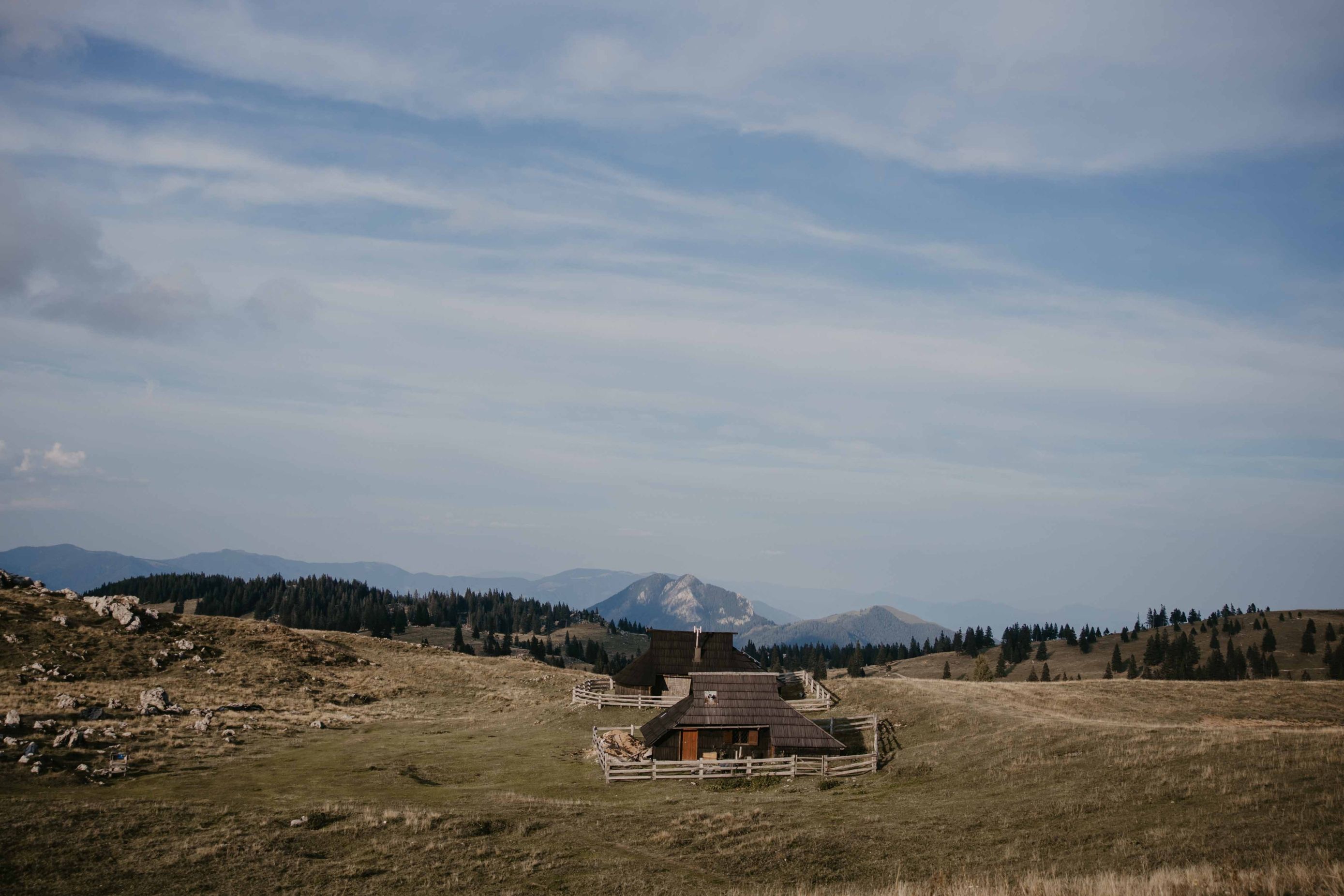 Velika planina_unsplash