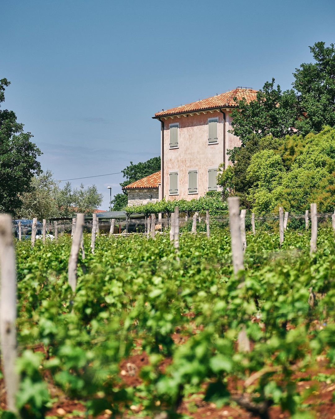 Oaza mira za odmor iz snova: Zavirite u novootvoreni bed & breakfast šarmantne istarske vinarije