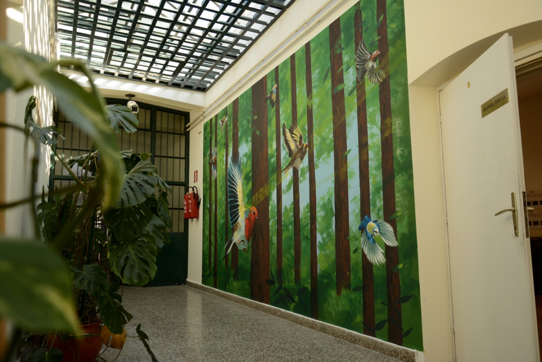 Projektom “Boje stvarnosti” oslikani su zidovi kaznionice u Lepoglavi