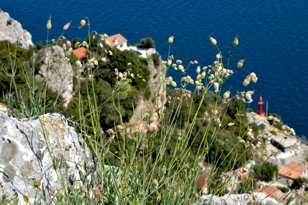 Grota u Brseču, Foto: Dario Dorčić