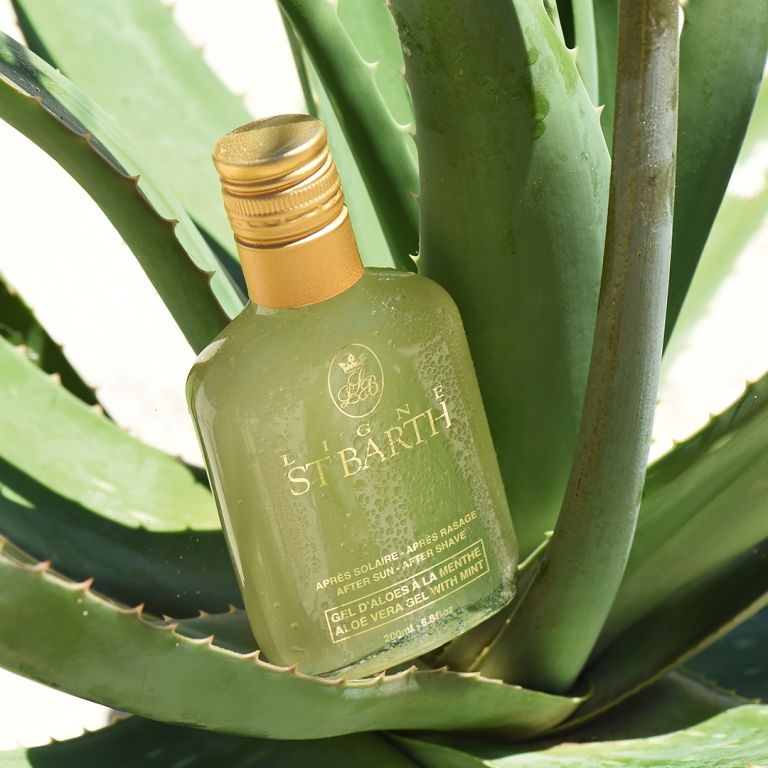 st barth aloe vera gel