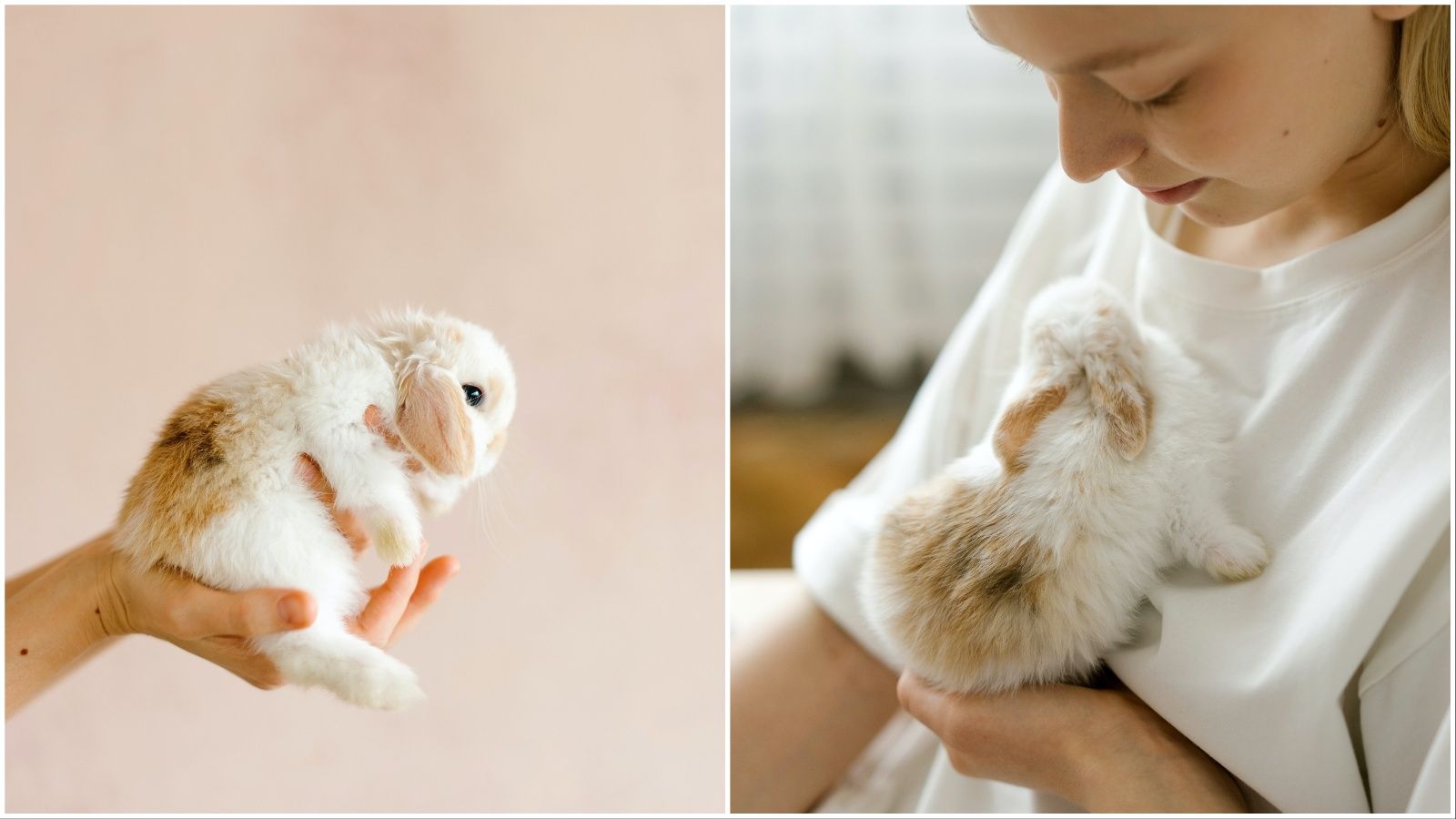 Tražite brend koji je potpuno cruelty free? Možete ga naći u drogerijama