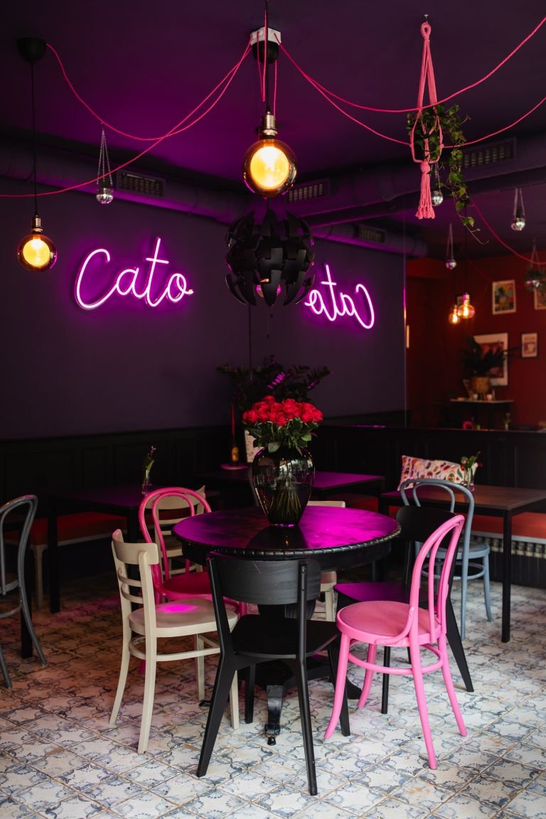 Cato bar & taqueria