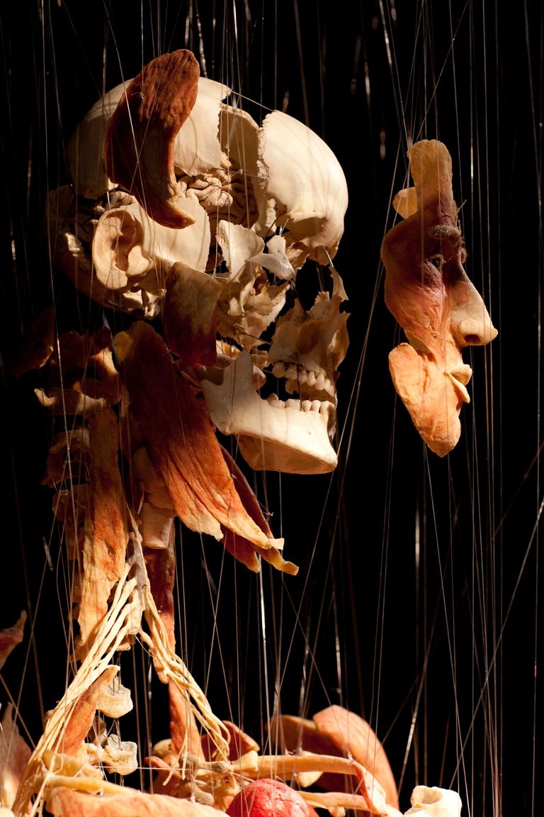 BodyWorlds izložba