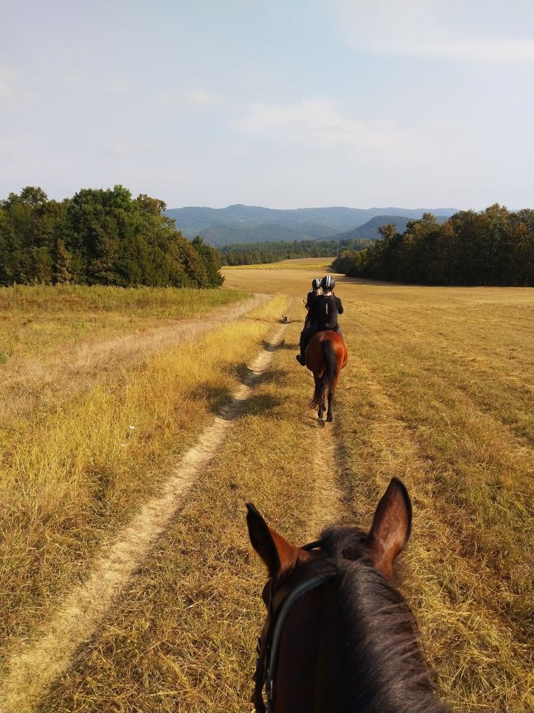 Ranch Terra, jahanje konja_pexels