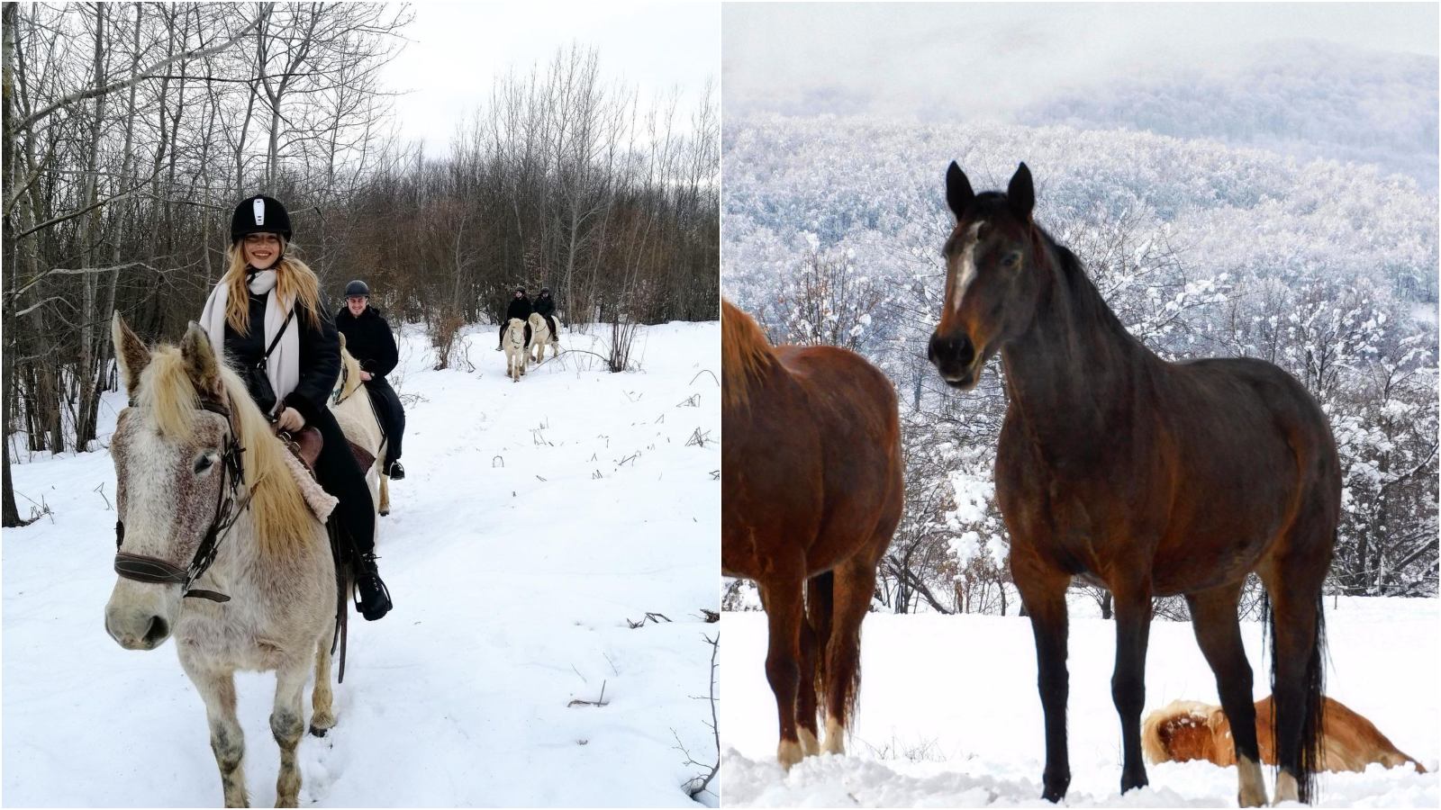 Zimska idila na ličkom ranču s konjima je razlog više da posjetite ovo divno mjesto