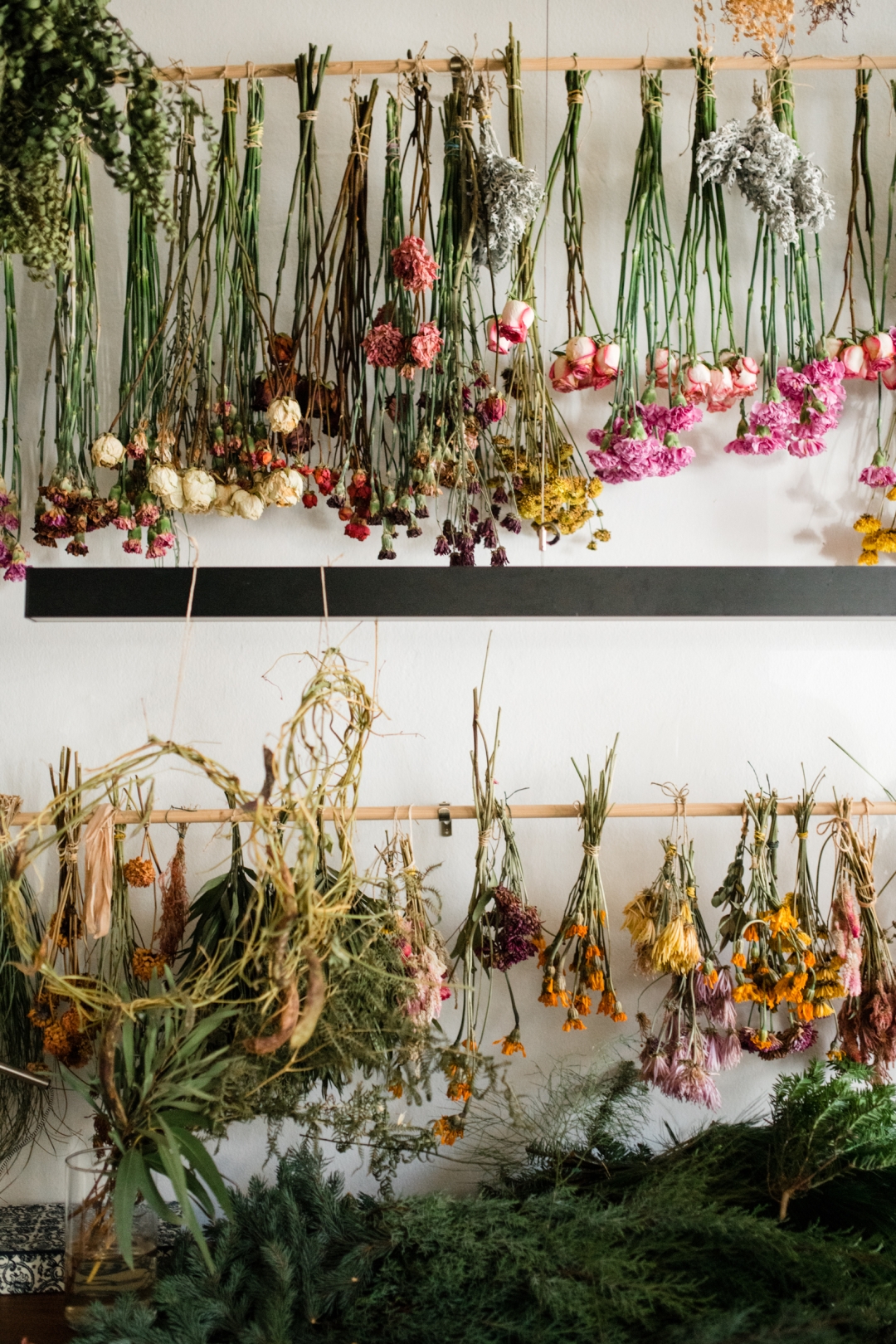 Održiva cvjećarnica Samonikla otvara se na novoj lokaciji