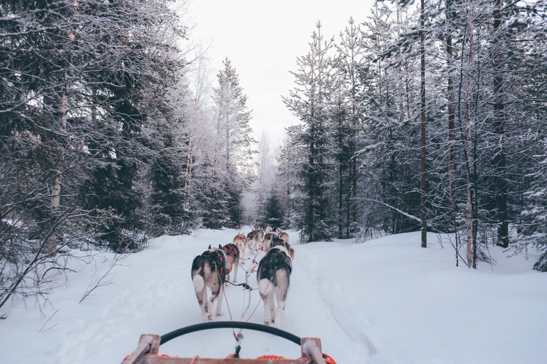 Vodimo vas u Rovaniemi, mjesto gdje stanuje Djed Božićnjak i gdje nastaje zimska čarolija