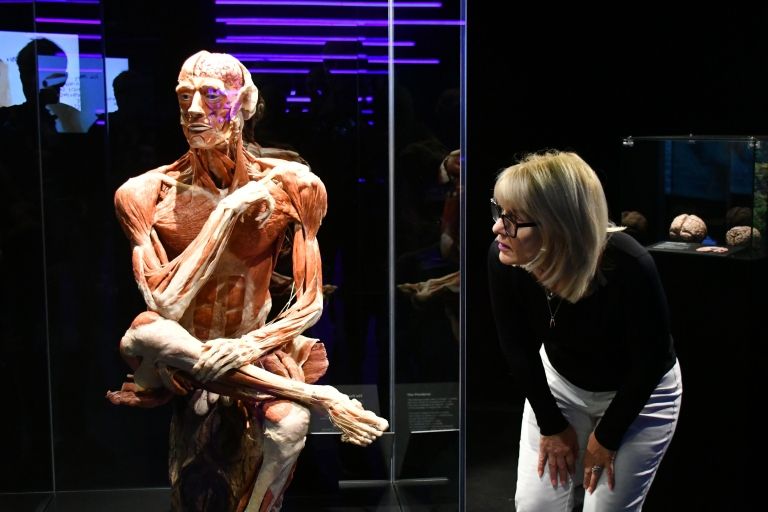 Bodyworlds