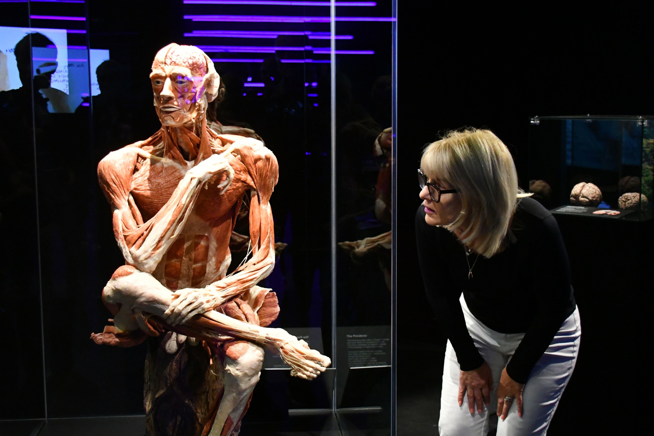U Zagreb je stigla izložba BODY WORLDS: Otkrijte ljudsko tijelo kao nikada prije