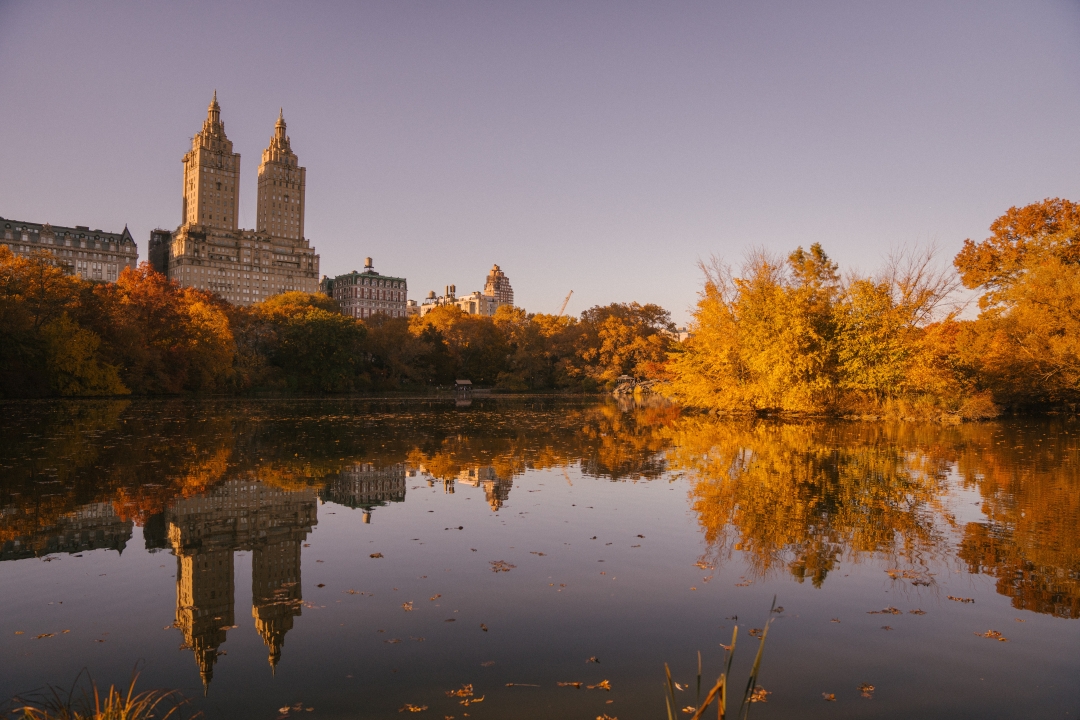 jesen u New Yorku_pexels