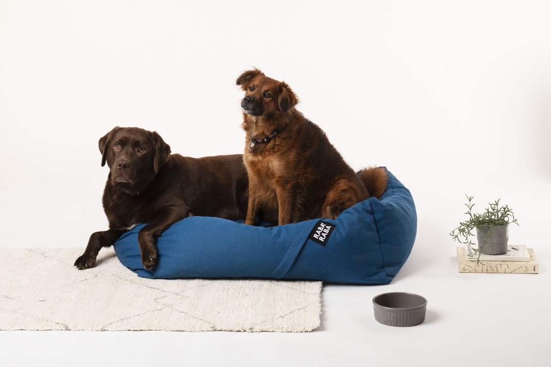 Raba-Raba su ergonomski ležajevi za pse koji dolaze u različitim bojama i veličinama