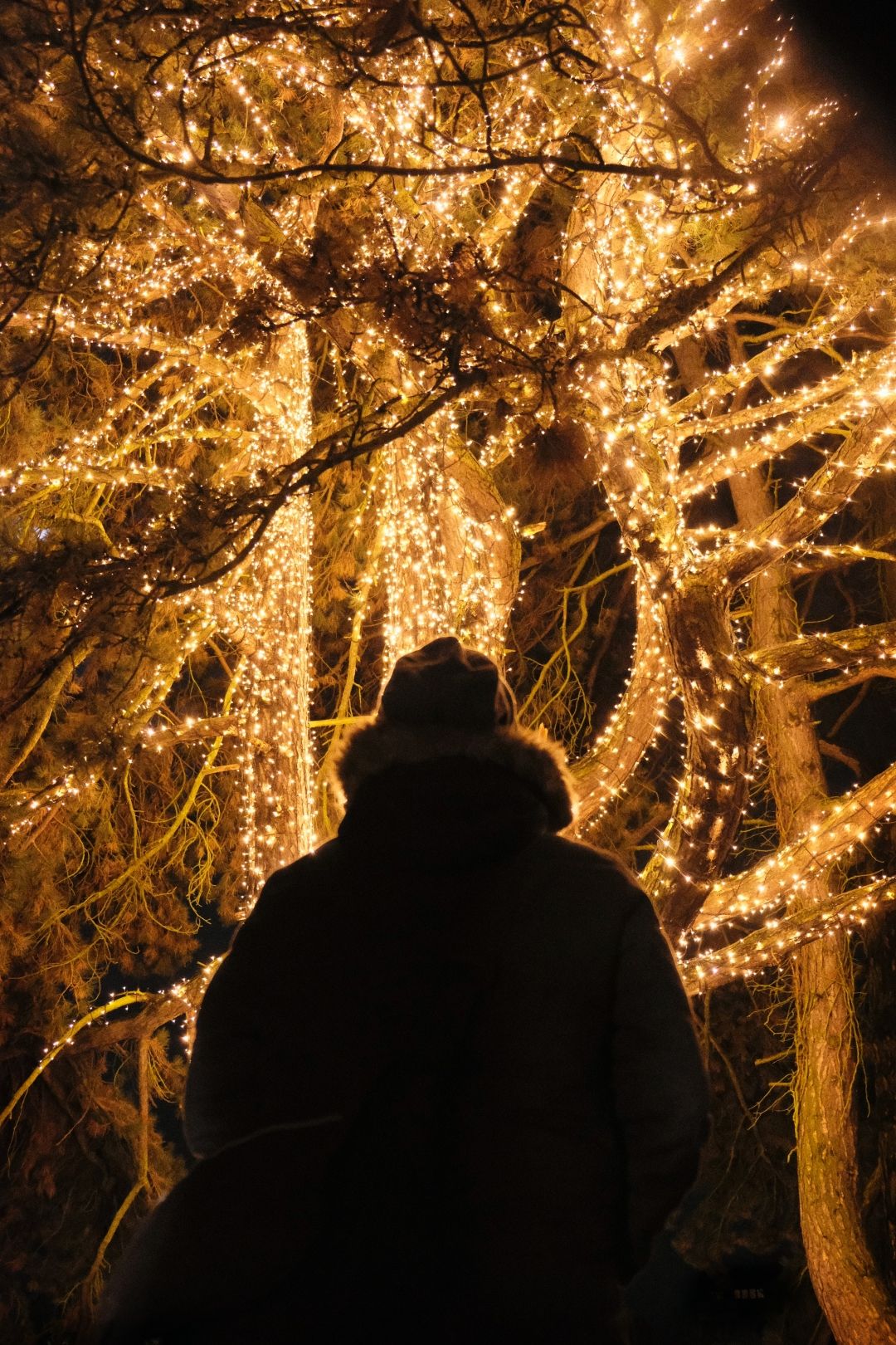 Čarobni Advent u Samoboru: Znamo što nas sve čeka u šarmantnom gradu nadomak Zagreba