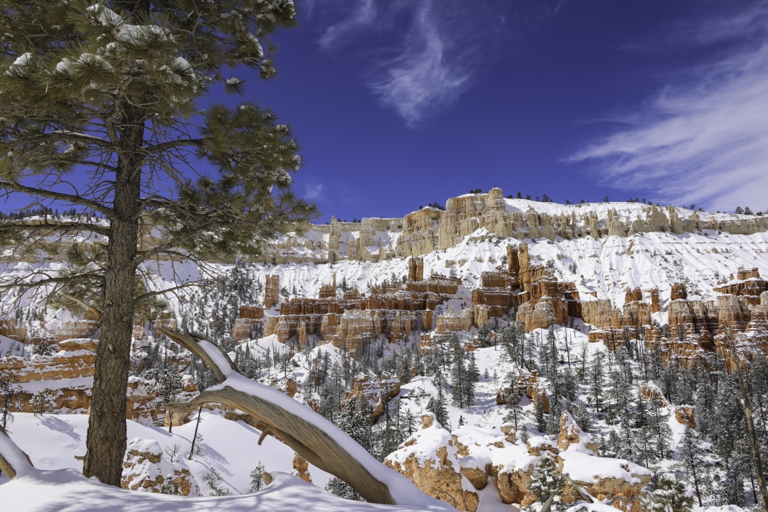 Bryce Canyon_iStock