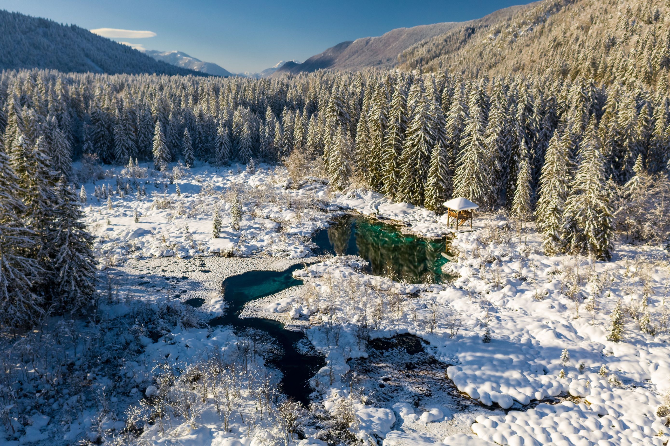 Zelenci Kranjska Gora_iStock