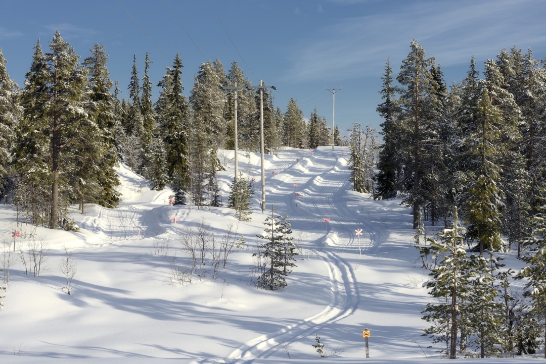 Skijaška staza u Švedskoj_iStock