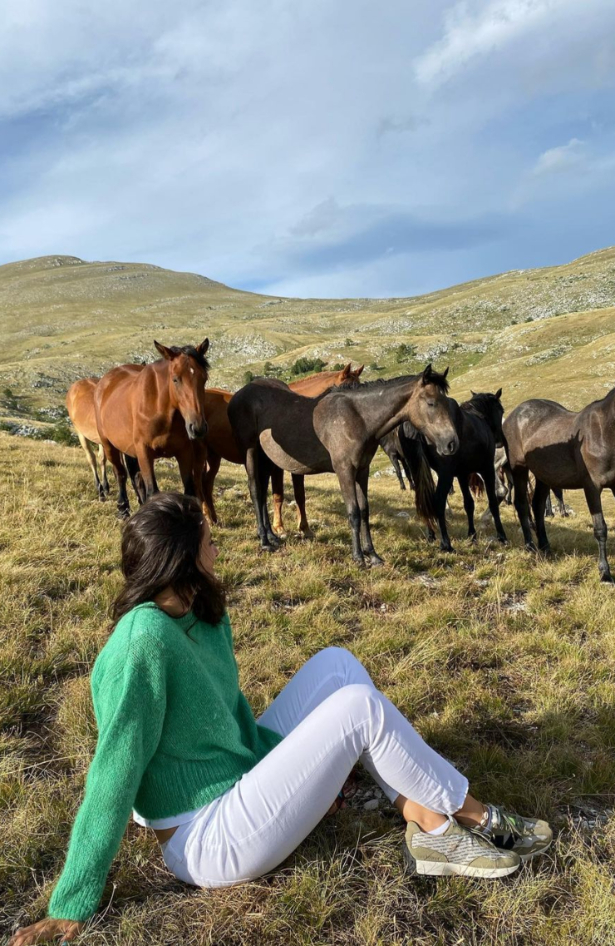U našem susjedstvu može se posjetiti safari s divljim konjima – avantura koju stavljamo na bucket listu