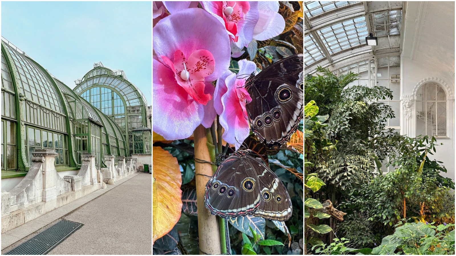 Ako planirate put u Beč, na must-visit listu dodajte Kuću leptira