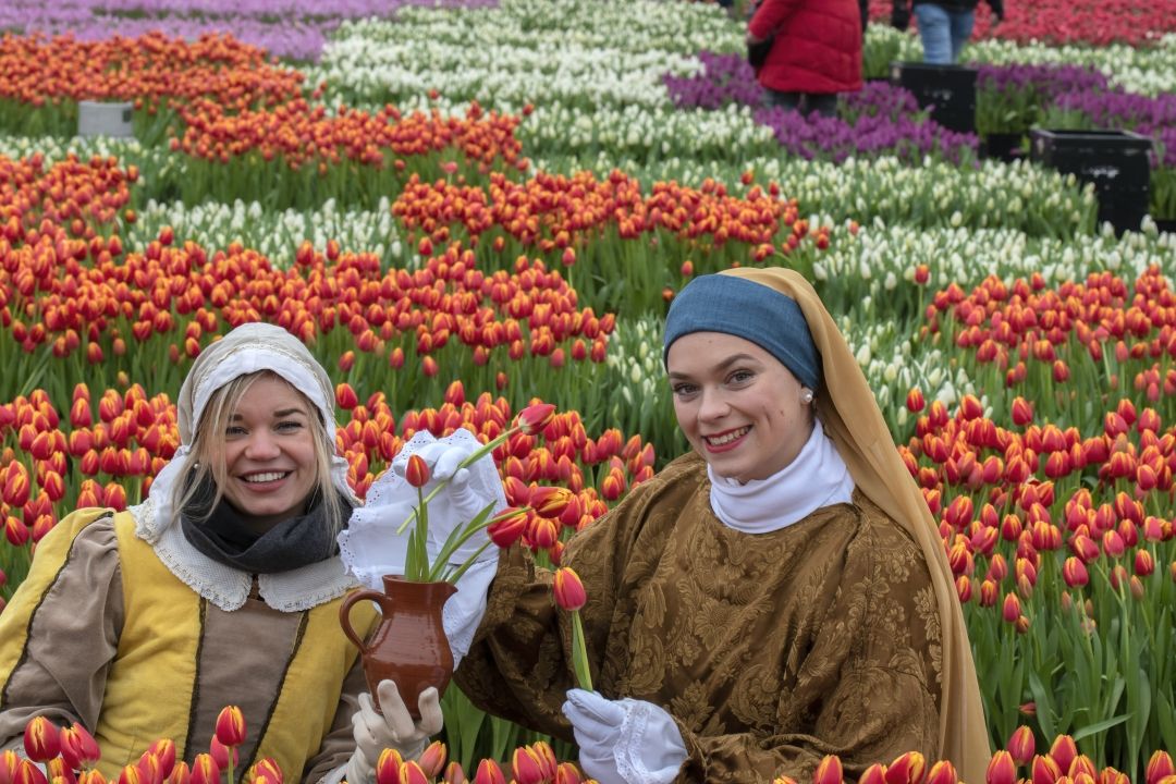 Nacionalni dan tulipana_iStock