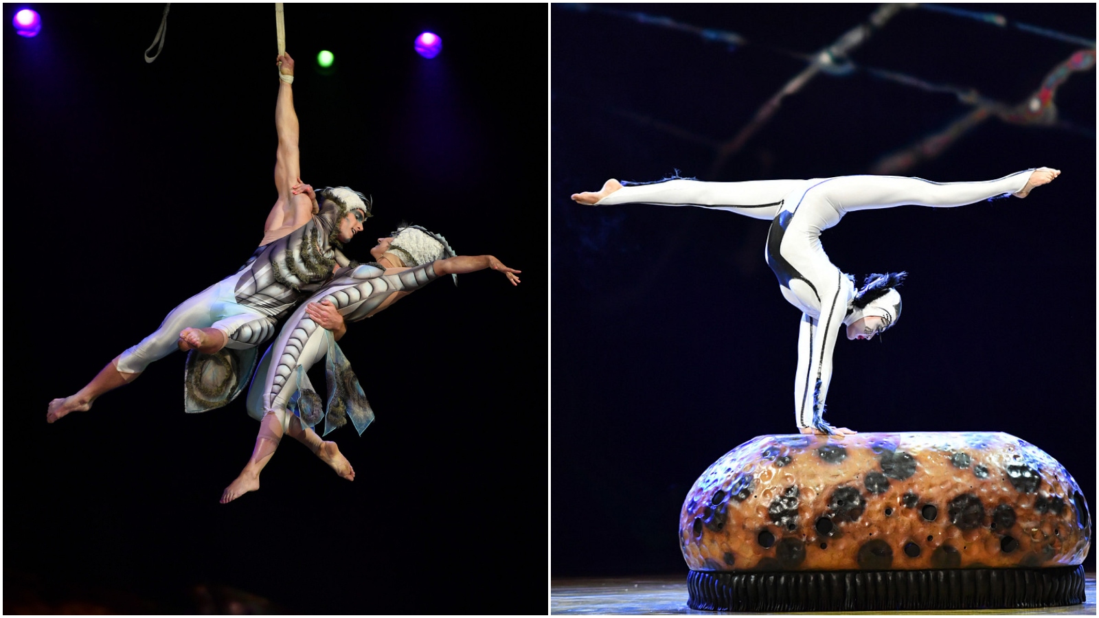 Cirque du Soleil ponovno u Zagrebu sprema akrobatski spektakl! Razgovarali smo s umjetničkom direktoricom