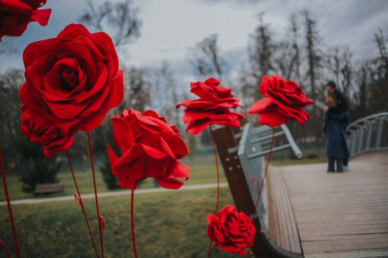 Adela Mesić instalacija Ruže u Jastrebarskom
