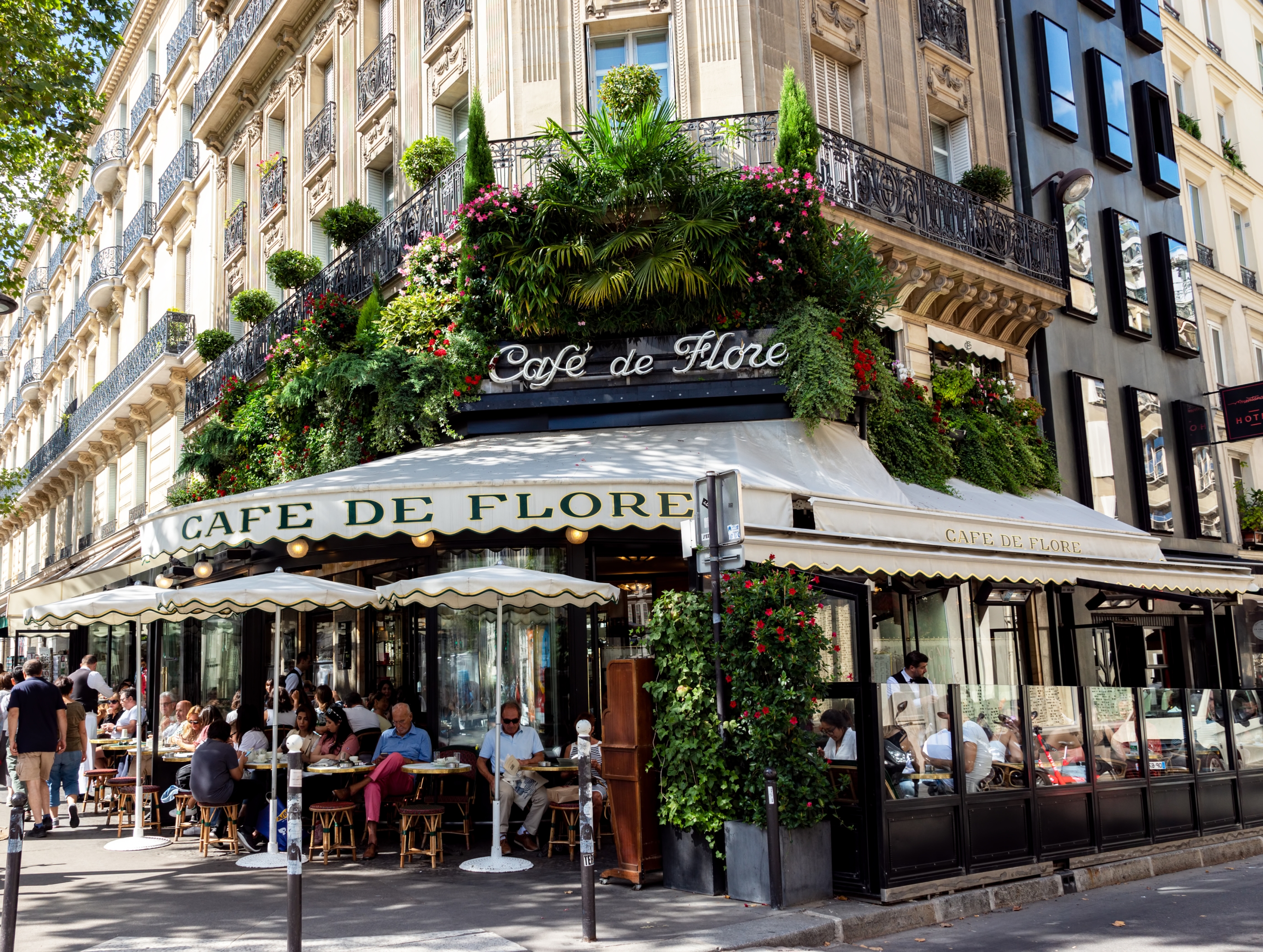 Café de Flore_iStock