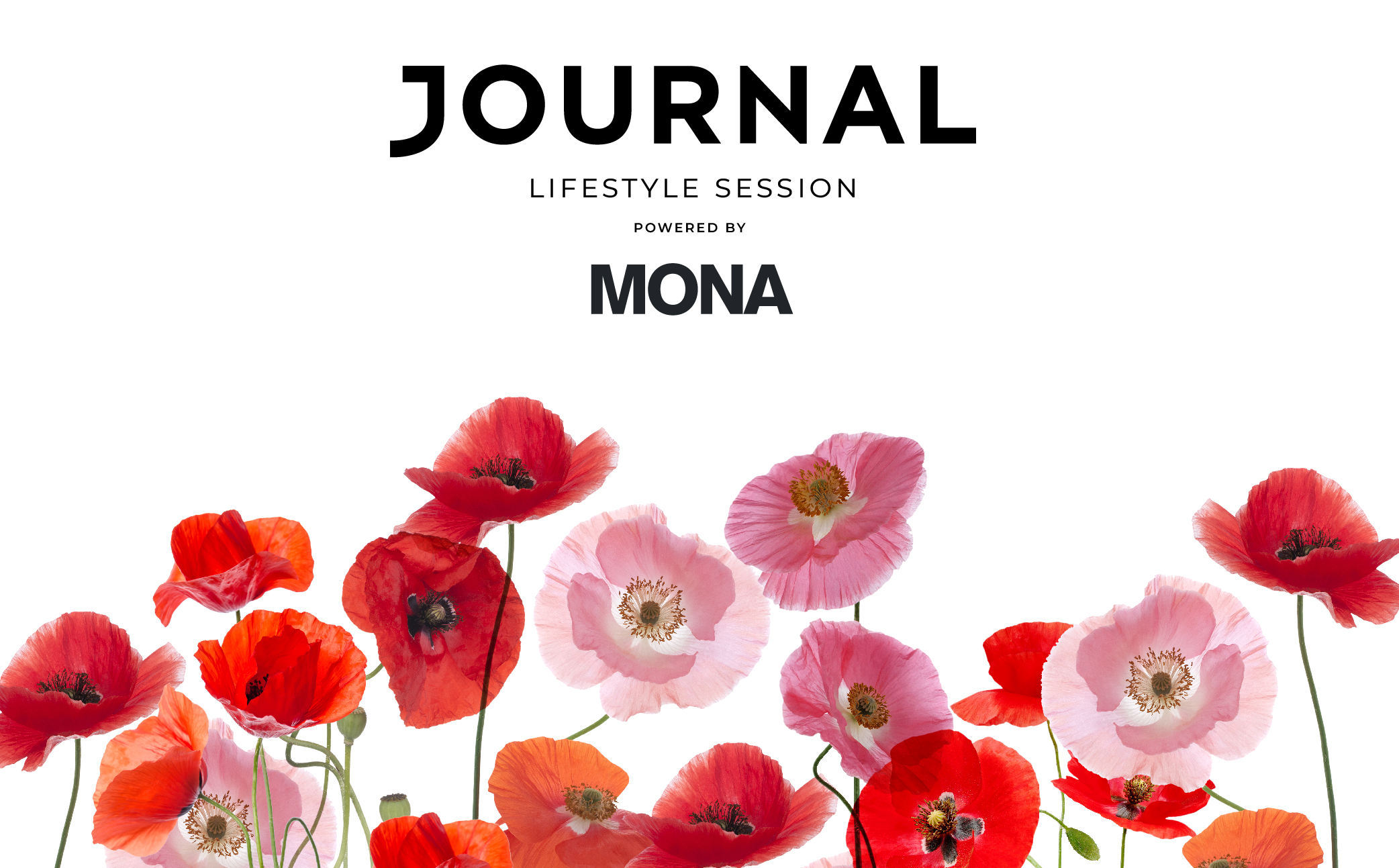JOURNAL_x_MONA_Grafike-06