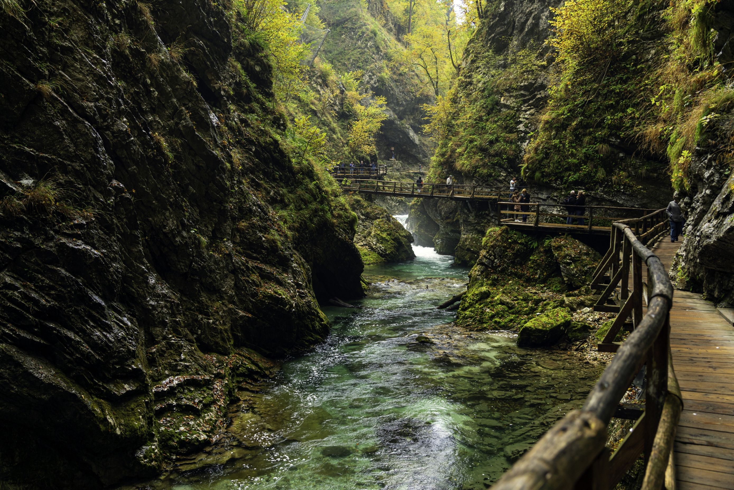 Kanjon Vintgar, naslovnica_iStock