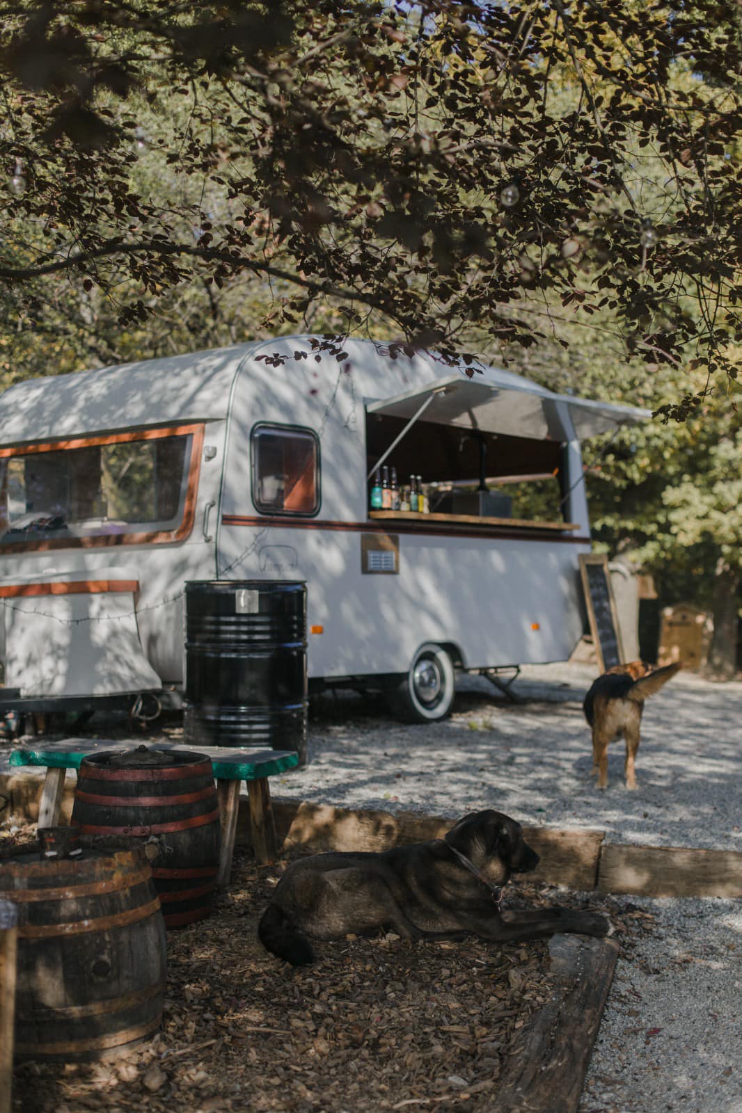 Za vikend se na Branimircu održava prvi Plant market