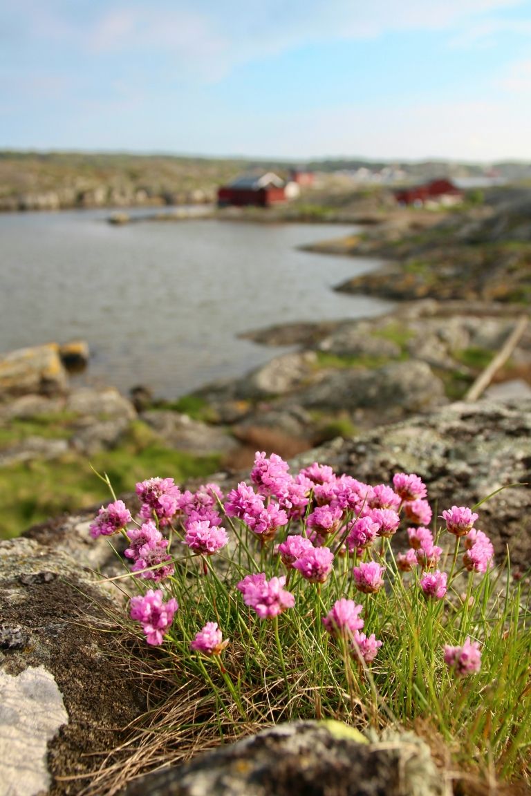 Marstrand-unsplash