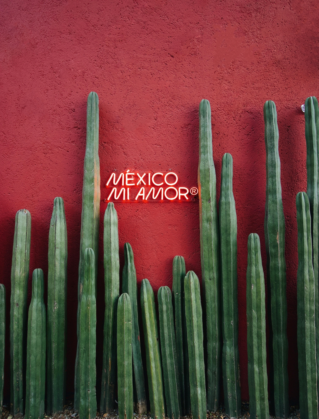10 razloga zašto želimo posjetiti Meksiko