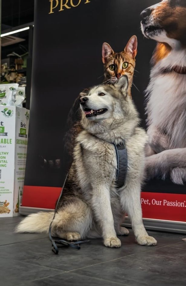 Popust za pravilno odlaganje ambalaže: Pet centar pokrenuo je nacionalnu kampanju