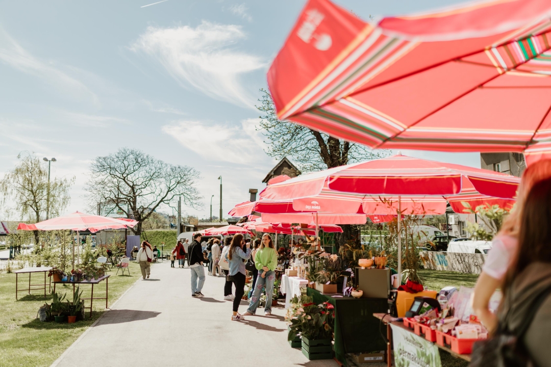 Plant market Branimirac