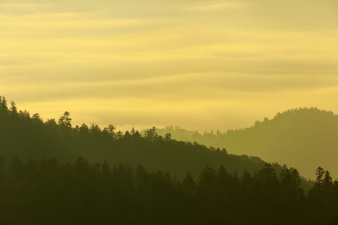 Risnjak_iStock