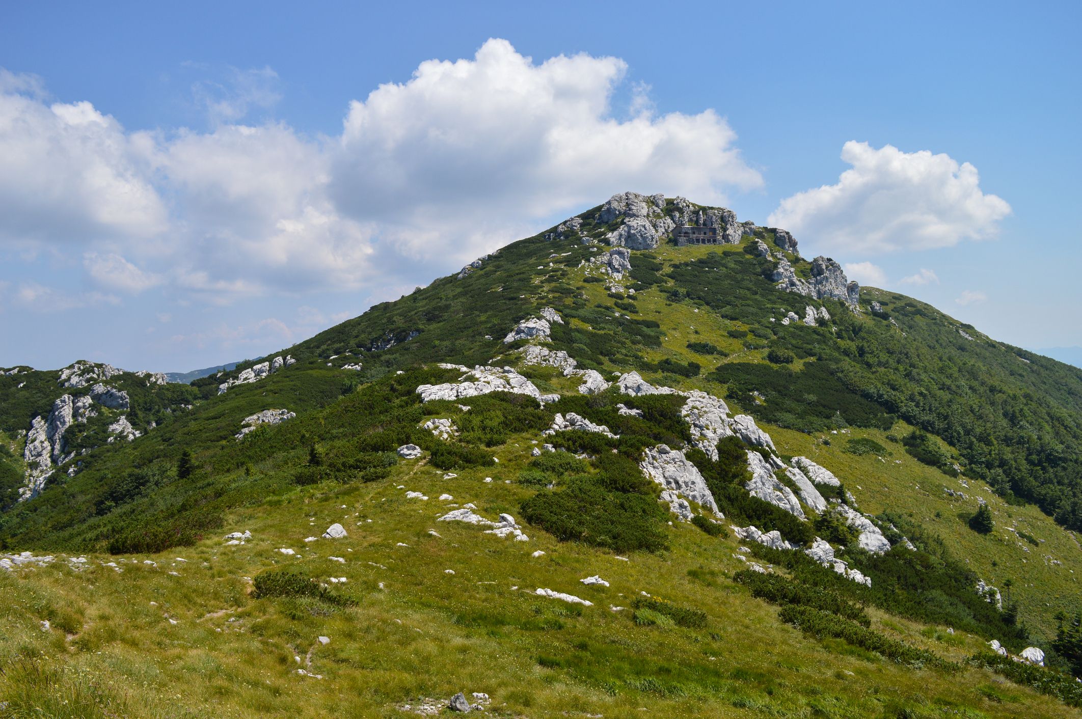 Risnjak