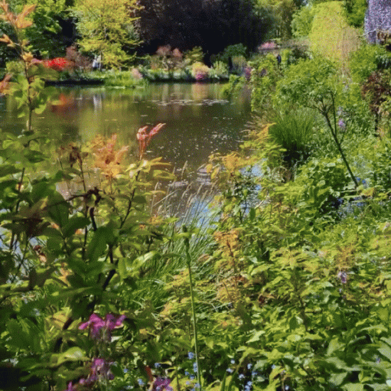 Proljeće u znaku impresionizma: Kuća u kojoj je živio Claude Monet ponovo otvorena za javnost