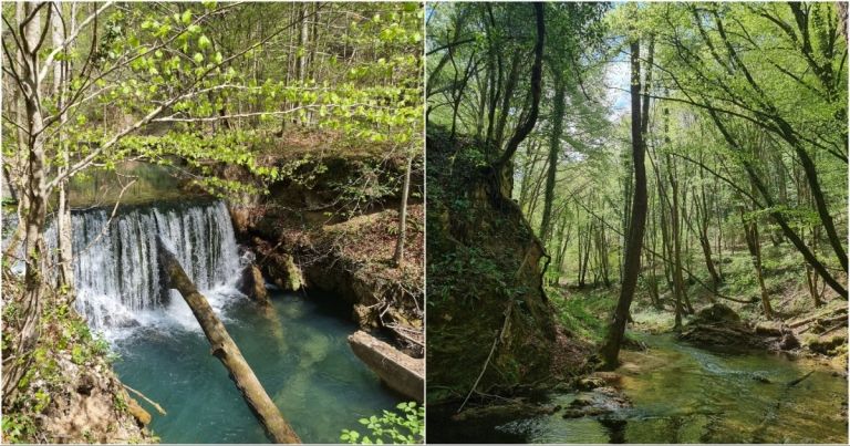 Staza kroz bajkovitu Dolinu Slapnice, Uživanje u šetnji očaravajućom prirodom