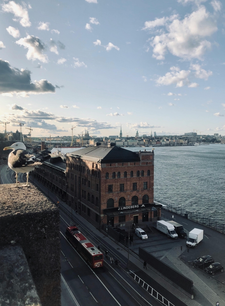 Stockholm, Švedska_pexels