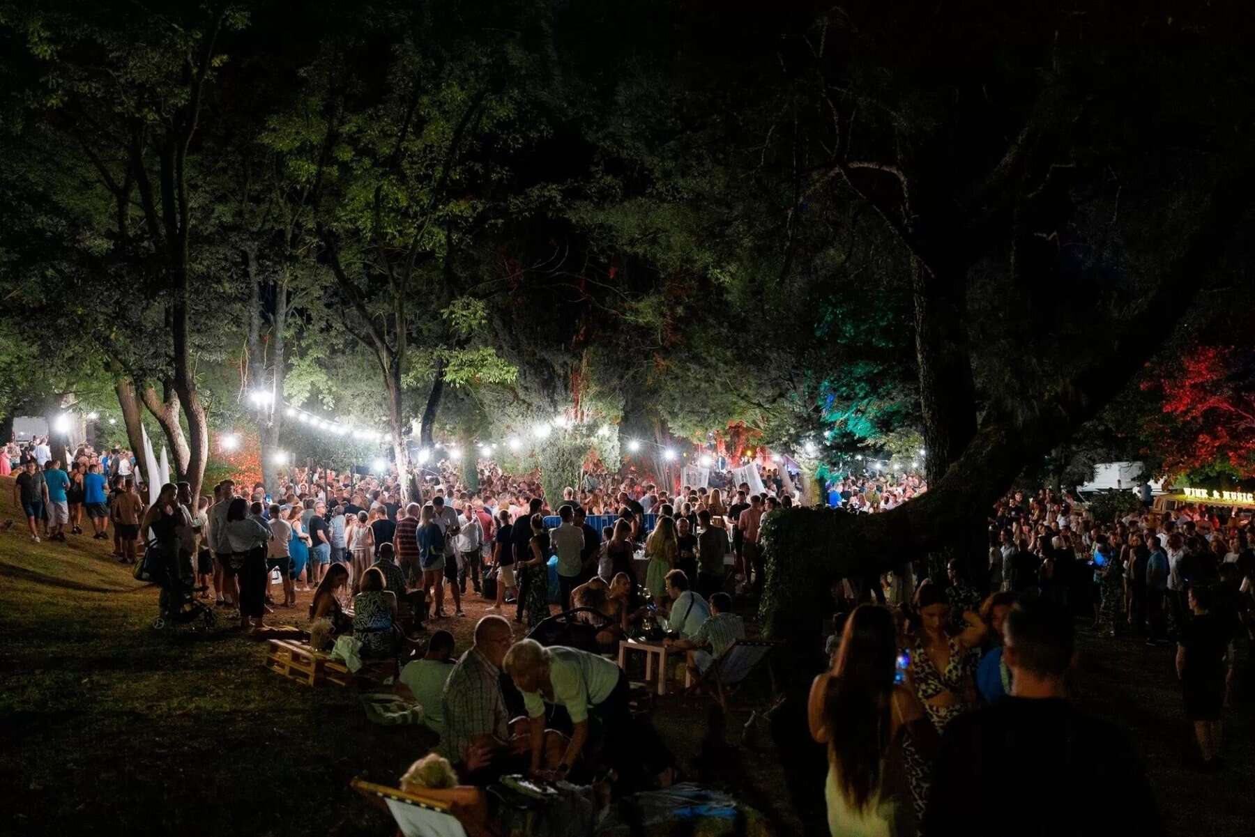Wine and music night 2