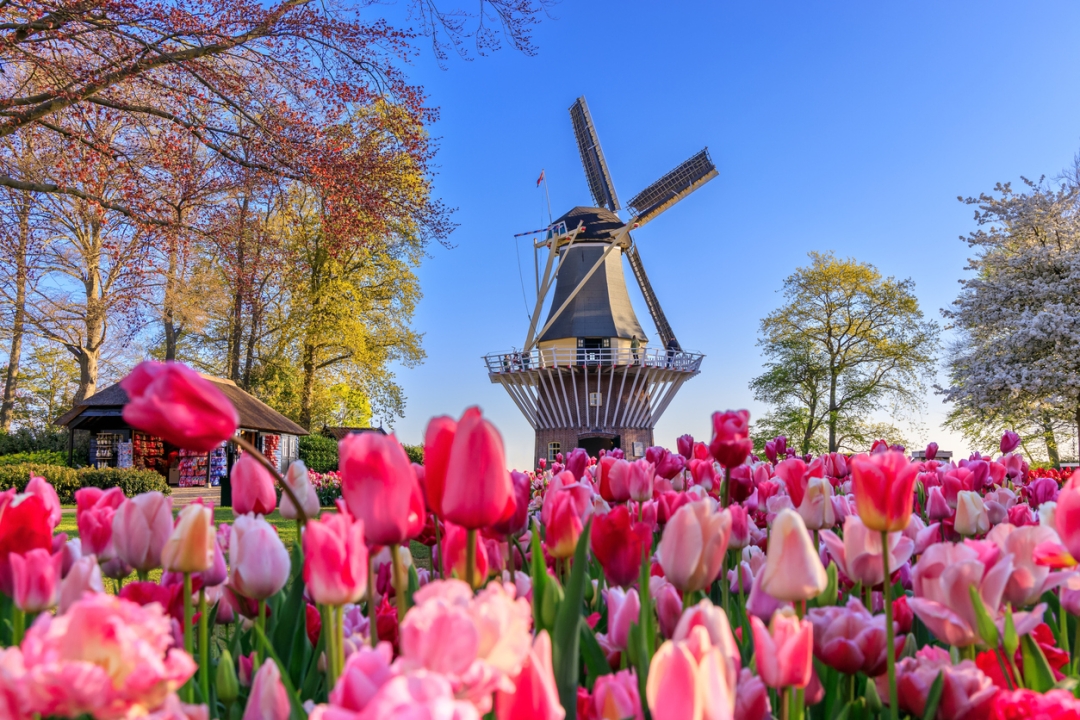 Spring break: Pet must-visit destinacija koje će biti popularne ovog proljeća
