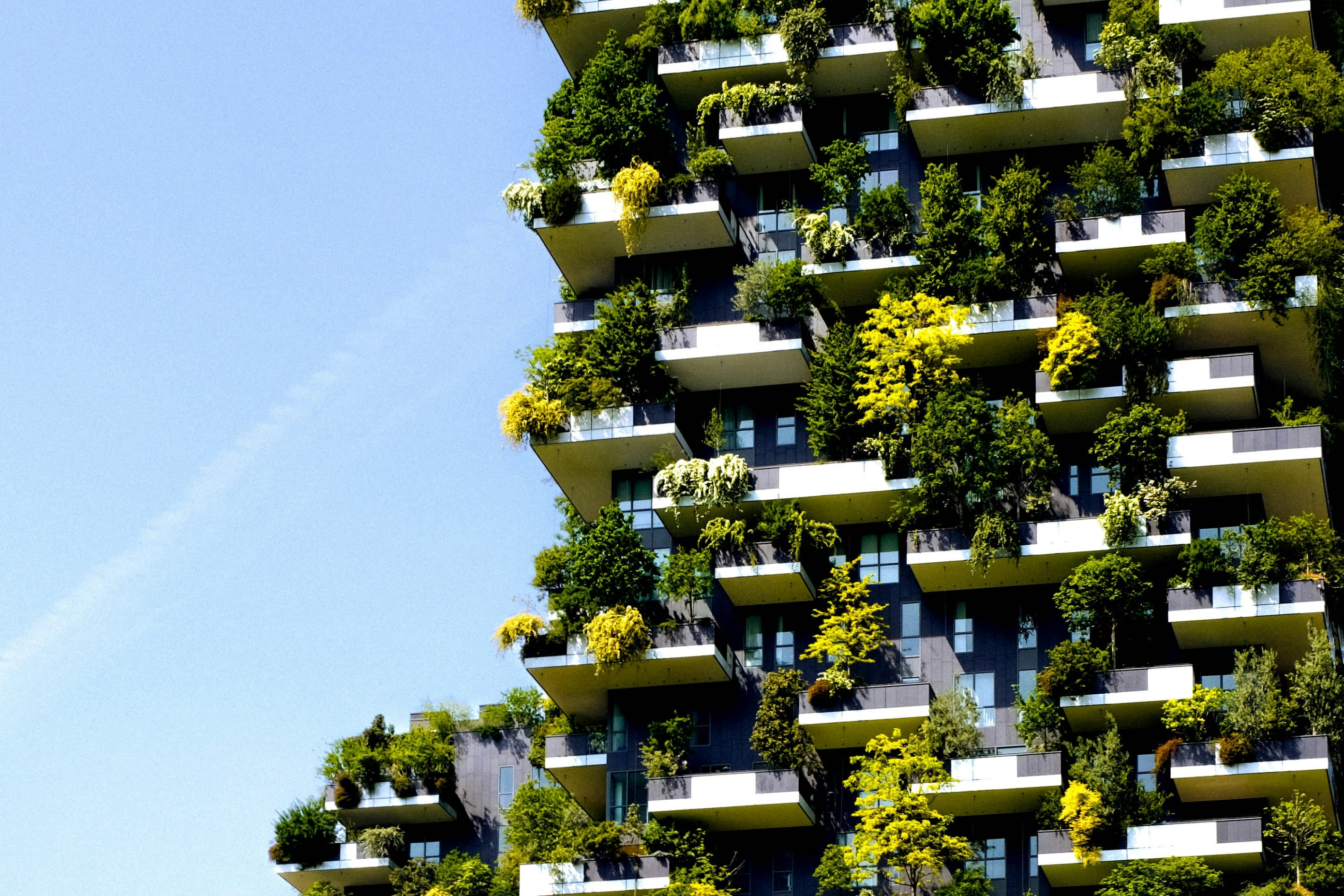 Zašto nam je pravac Eco Brutalism toliko fora i je li on budućnost arhitekture?