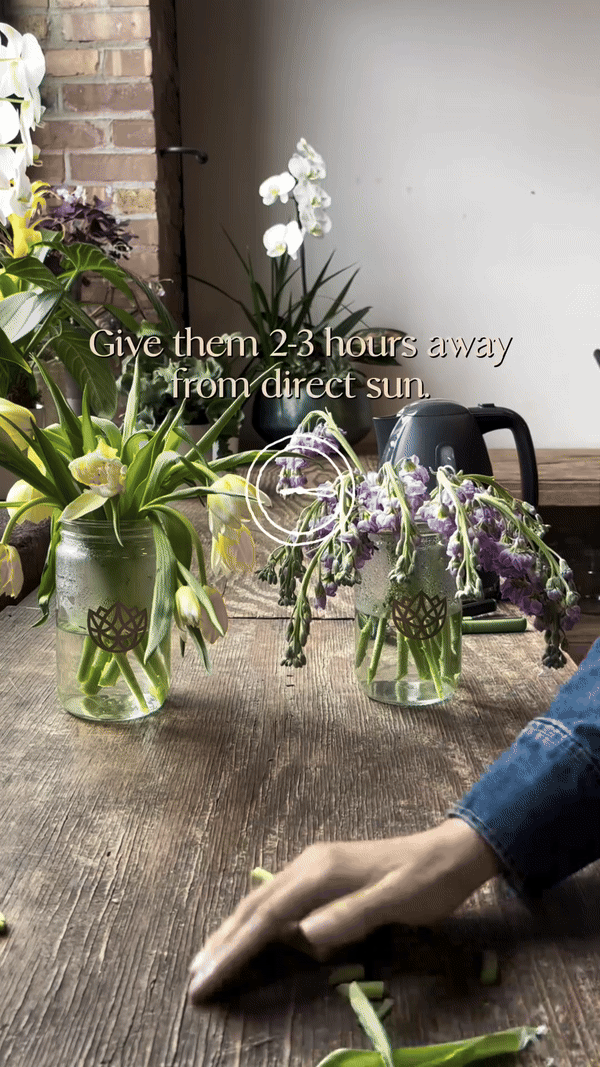Svježe cvijeće u vazi – jeste li isprobali ovaj trik s vrućom vodom?