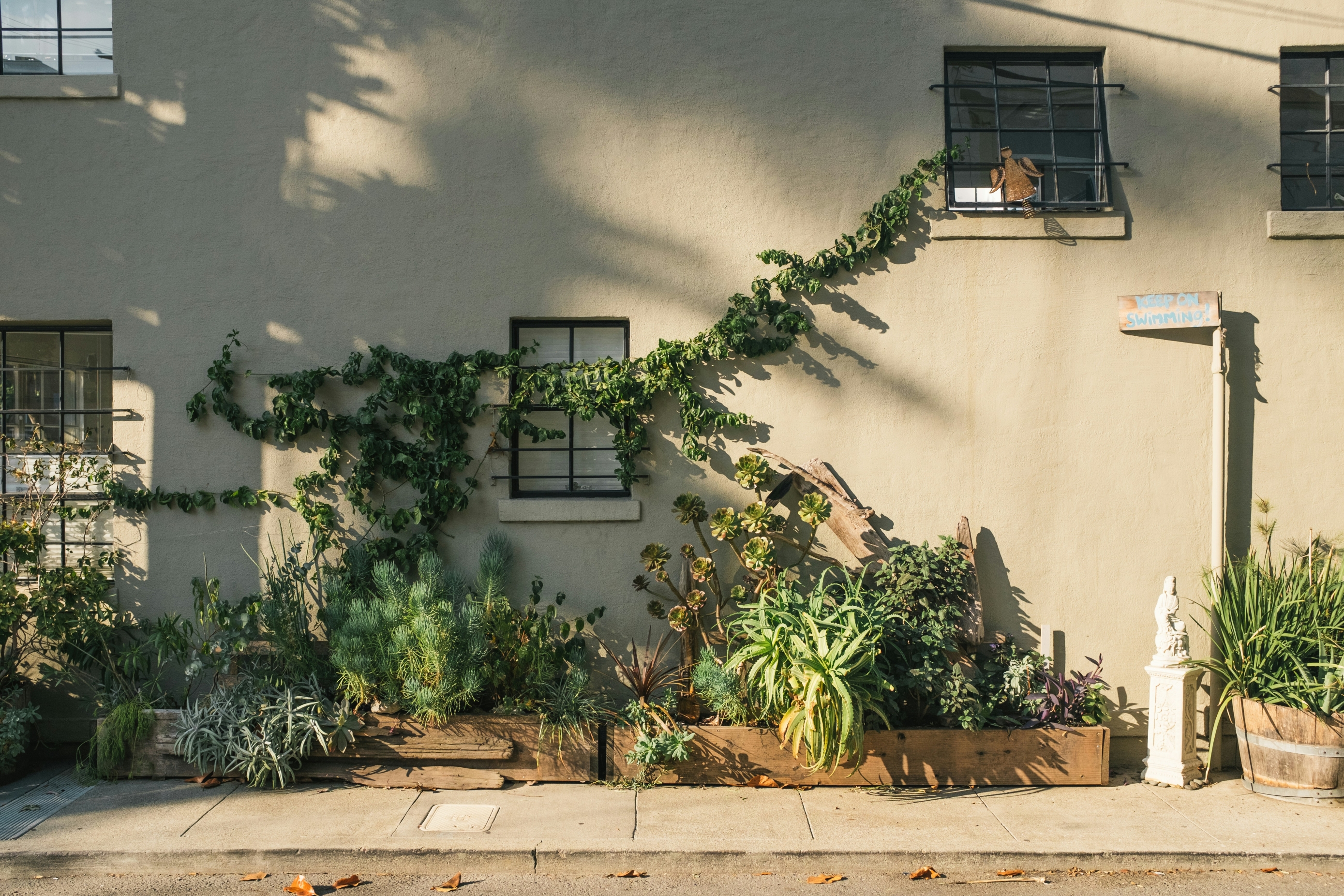 Journal biljka mjeseca: Kraljica Mediterana Aspidistra