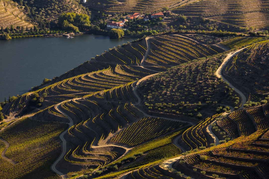 vinske ture_europa_douro dolina_portugal_ico_k-pax_iStock-1182527512