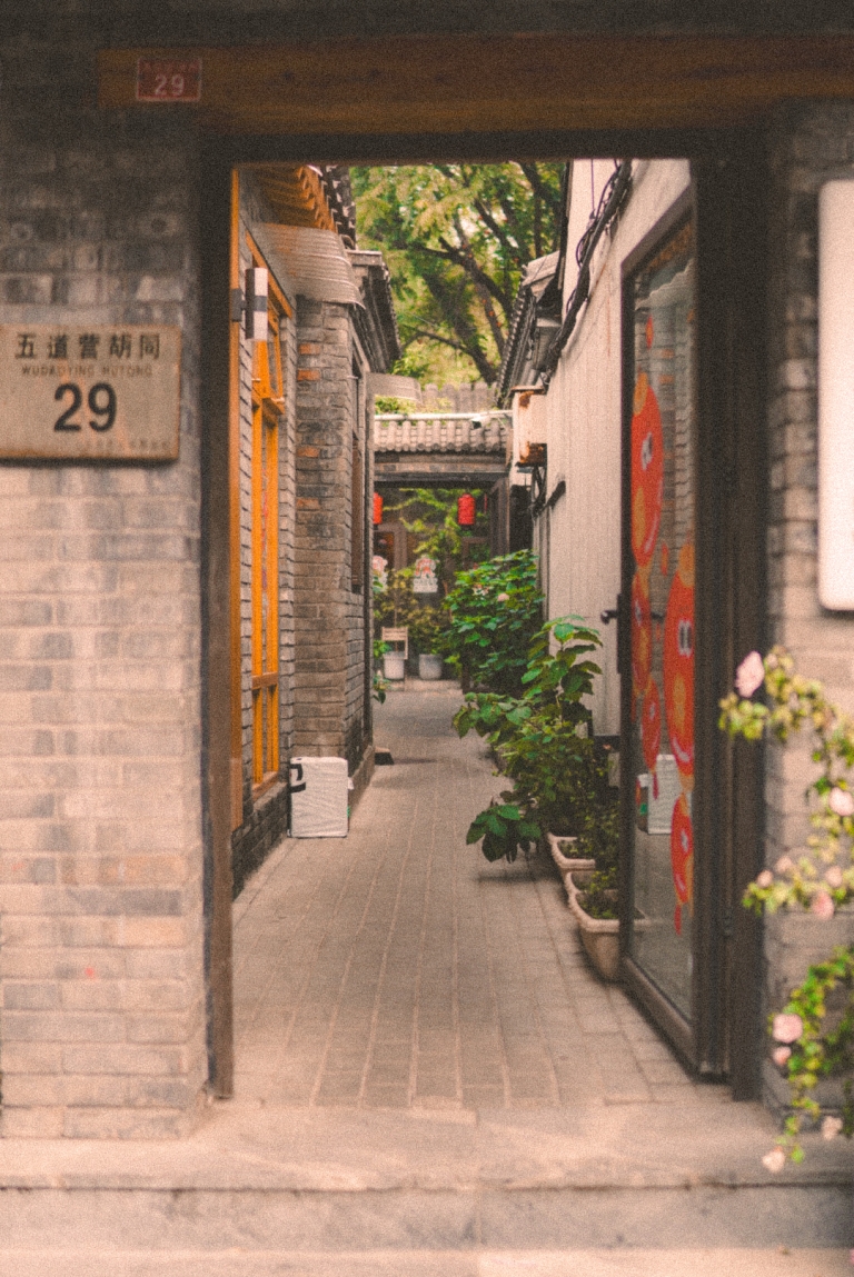 karla-ćurin-peking-journal18