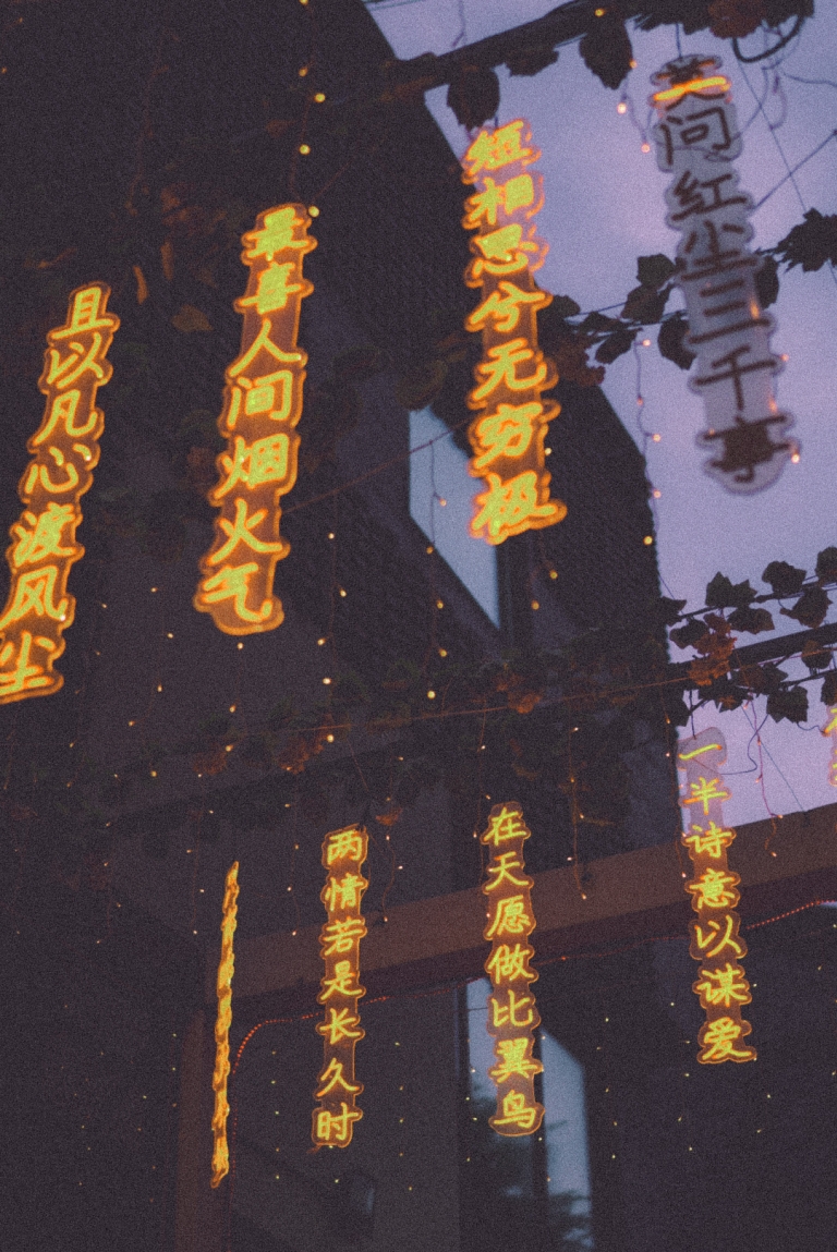 karla-ćurin-peking-journal2